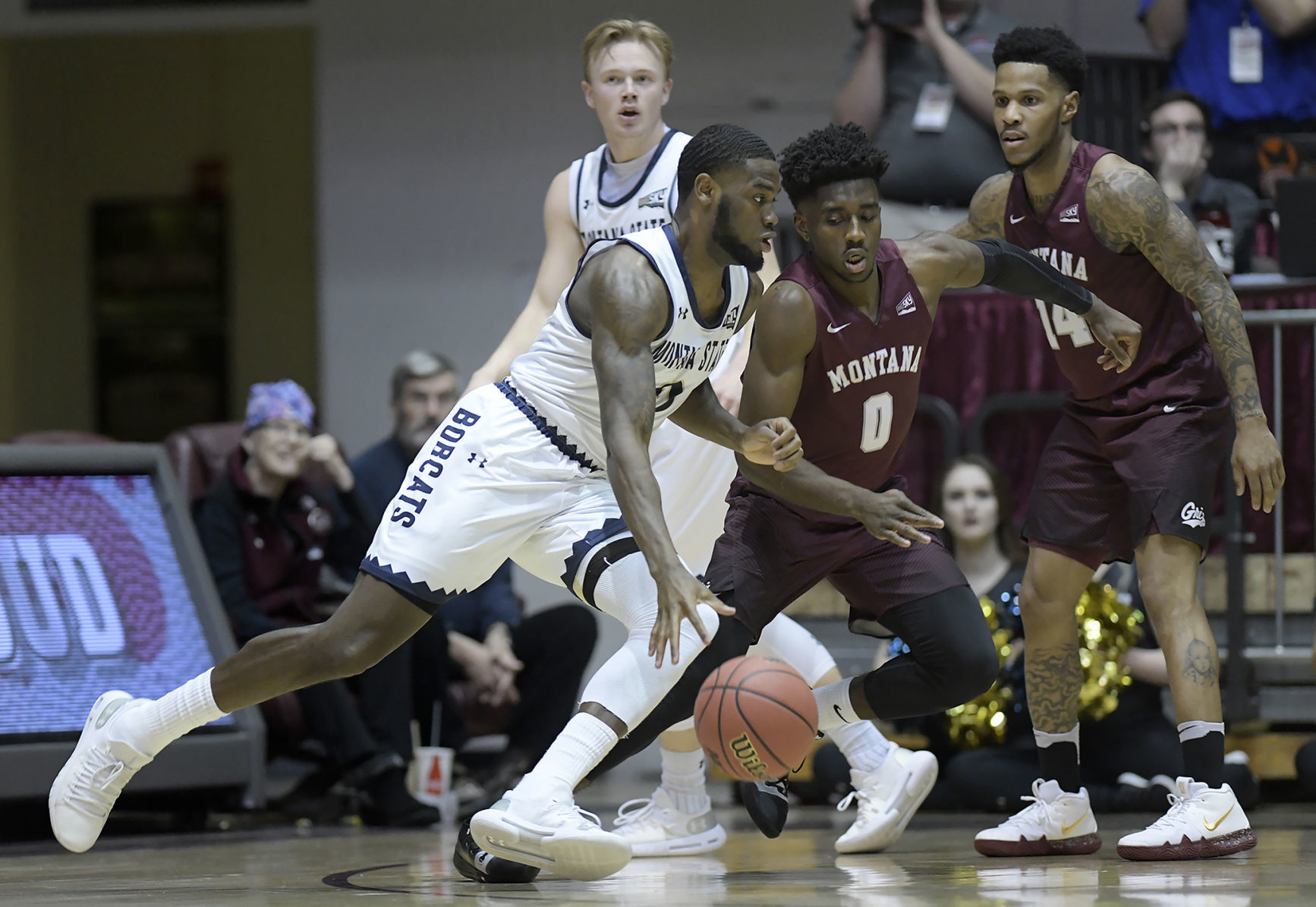 Griz v Cats-12-tm.jpg